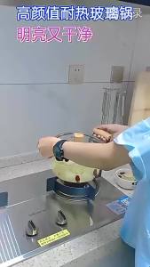 Double Handle Heat-Resistant Glass Pot Borosilicate