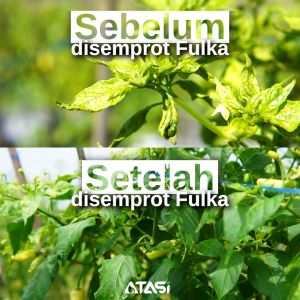 Fulka Zat Stimulator Tanaman | Pupuk Anti Stres Pelemas Daun Keriting Pembesar Buah Nutrisi Stimulan Asam Fulvat