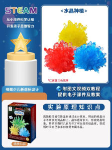 Science Experiment Robot Kit for Children STEAM Pumpkin Technology Making Little Invention Educational Toy for Primary School Students