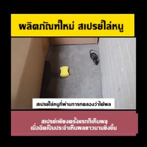 180 วัน 🐭 ฉีดทีหนึ่ง สเปรย์ไล่หนู 500ml น้ำยาไล่หนู สเปรย์กำจัดหนู รถ 100% ธรรมชาติ ขับหนูปลอดภัย ใช้ในบ้าน ห้องเครื่อง คลังสินค้า