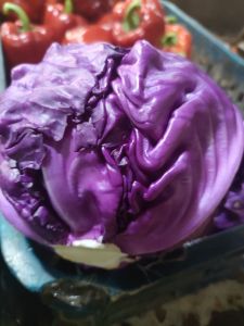 sayuran KOL UNGU KOLL KUBIS kol globe sakata taki taka per 1kg 1000 gr lebih