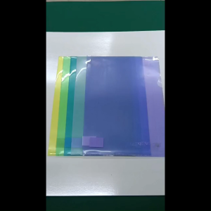 APLUS A4 L SHAPE HOLDER FILE / SEMI TRANSPARENCY COLOUR / L SHAPE FILE (E310)