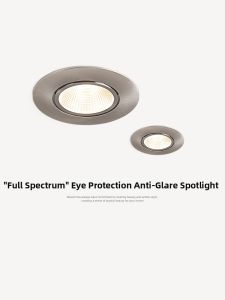 NSWR | Antique Style Anti-Glare Inset Hill Lamp Full Spectrum Eye Protection