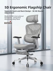 Flexispot | Ergonomic Comfortable Lumbar Support Computer Chair