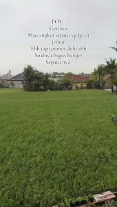 RADARS - Sepatu Futsal Pria Wanita Dewasa Sepatu Olahraga Brand Lokal Sepatu Jogging Radars Flyfit