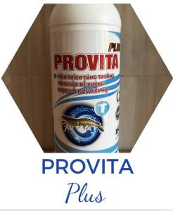 Vitamin tổng hợp - PROVITA (chai 1 lít) - sản phẩm chuyên dùng cho tôm cá