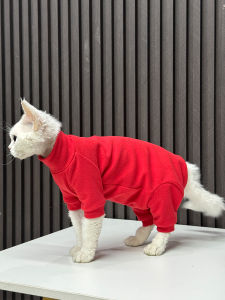 Red Pure Cotton Four-Legged Cat Suit for New Year Celebration German Cat Hairless Cat Clothes Sphinx Cat Pet Supplies