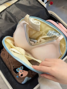 Underwear Storage Bag Travel Bra Panties Socks Organizer Case Portable Luggage Pouch Waterproof 旅行内衣包