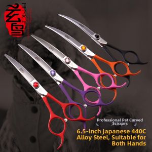 Fenice | Professional Grooming Scissors 6.5in