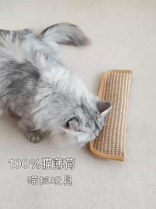 Self Play Cat Toy Catnip Pillow Natural Sisal Fabric Scratching Surface Bite Resistant Entertainment Produk Kucing