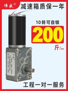Microstepping DC Gearmotor 12V 24V Low Speed High Torque Slow Speed Adjustable Turbo Gear Motor Miniature Self Locking