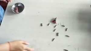 4inch Stainless Steel Magnetic Part Storage Tray For Screw Nuts