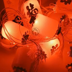 20L FOK RED Lantern CNY String Light Waterproof String Light CNY Decoration Red Light Chinese New Year 超红金福灯笼 Lampu CNY