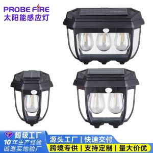 Solar Powered Waterproof Warm Light Induction Wall Light