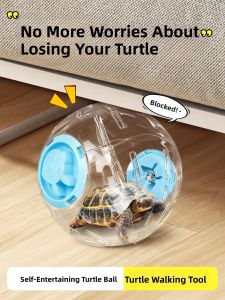 VOA | Interactive Tortoise Ball Toy