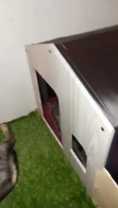 CAT HOUSE RUMAH MAINAN & TEMPAT TIDUR KUCING BIG SIZE CAT TOWER rumah kucing kayu besar