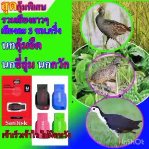 3 เสียง นกซิกรัส คุ้มสุด ผลิตภัณฑ์เสียง เสียงล้อม แฟลเดียว