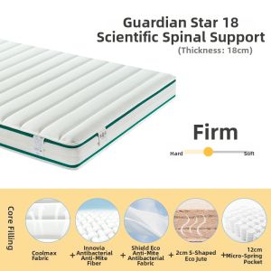 Orthopedic Student Silent Spring Mattress