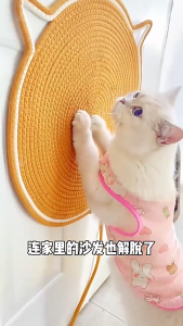 Cat Scratching Mat Anti-Scratch Mat Pet Carpet Cat Scratcher For Cat Scratch Board Cat Scratch Pad kitten scratcher