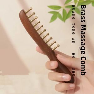 JIFANPAUL | Anti-Static Hair Loss Prevention Wooden Comb for Long Hair