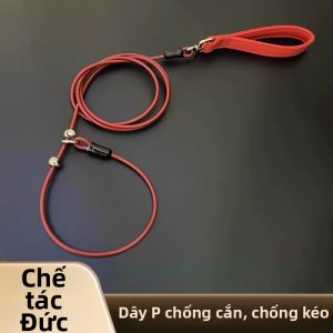 Dây Dắt Chó Chống Sốc