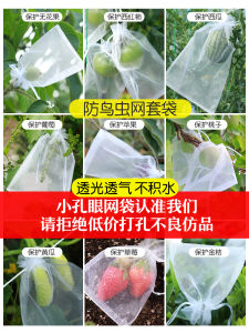 ถุงคลุมผลไม้ป้องกันแมลงและผีเสื้อสำหรับพุ่มผลไม้ ถุงคลุมต้นแอปเปิ้ล ถุงคลุมผลไม้ ถุงคลุมพุ่มผลไม้ ปกป้องพืช