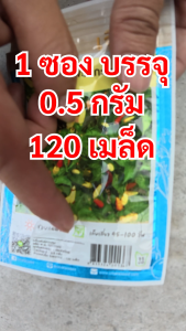 เมล็ดพันธุ์ พริกกะเหรี่ยงสั้น ตราเจียไต๋