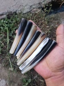 pipa cangklong tanduk kerbau bentuk oval