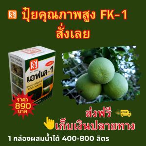 ส้มโอ โตไว ใบเขียว ผลใหญ่ ผลผลิตดี ฉีดพ่นปุ๋ย FK-1 ต้นทุนต่อไร่ถูกกว่าปุ๋ยเม็ด 4เท่า เพิ่มผลผลิตสูงสุด 20เปอร์เซ็นต์