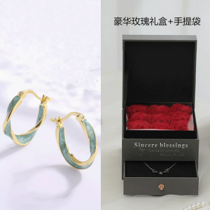 ZVZ Pure Silver Mobius Earrings Women Simple French Luxury Ear Studs High-End Sensation Hoops Gift Elegant Fashion Jewelry