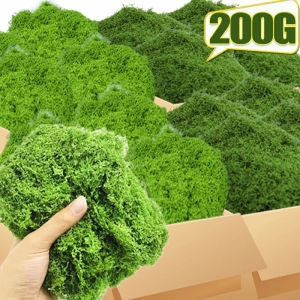 Dizoey 200/30G rêu nhân tạo Màu Xanh Lá Cây Vĩnh Cửu Cuộc Sống Moss thủ công tự làm Cây cỏ giả cảnh quan vi mô Mô Phỏng Cỏ Cho Chậu Vườn