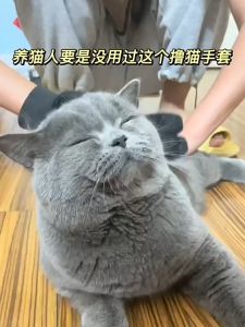 Cat Gloves Cat and Dog Comb Pet hair remover Sikat kucing grooming pet grooming glove cat dog deshedding fur brush hair removal tool