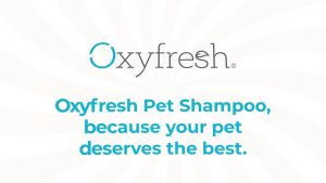 Oxyfresh® Pet Shampoo - Anti Itch Cat Shampoo & Dog Shampoo - Shiny Coat | Syampu Kulit Sensitif Kucing (3800ml)