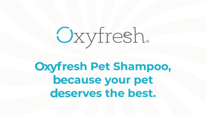 Oxyfresh® Pet Shampoo - Anti Itch Cat Shampoo & Dog Shampoo - Shiny ...