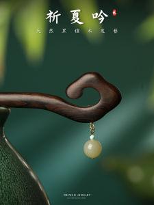 Elegant Natural Black Ebony And Turquoise Hairpin for Women Retro Chinese Style New 2025 High End Hair Accessories