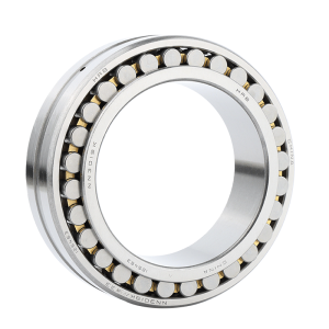Cylindrical Roller Bearing P5