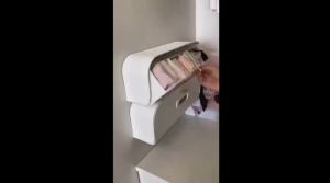 Wardrobe Organizer Sock Storage Box Wall Mounted Punch Closet Panties Underwear Organizers Panganjur Laci