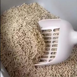 Cát đậu nành Cature thấm hút khử mùi cực tốt