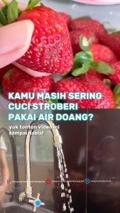 Sabun buah dan sayur food grade natural untuk menghilangkan residu pestisida dan anti kuman bakteri 250 ml