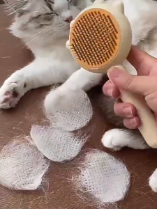 แปรงขัดมุมแมวมาใหม่ล่าสุดอุปกรณ์นวดด้วยตัวเองสำหรับแมวลูกสุนัขและแมวสีฟ้า/สีเขียว/ชมพู