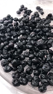 Dried Blueberries (Organic No Sugar Added  Healthy Low Carb Diet Dried Snack from USA)