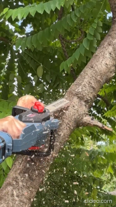 เลื่อยโซ่ไร้สาย 11.5 นิ้ว MASARU SCS-415 20V มอเตอร์ไร้แปรงถ่าน พลังแรงตัดสูง 8000RPM เลื่อยไฟฟ้า เลื่อยแบตเตอรี่ เลื่อย เลื่อยตัดกิ่ง เลื่อยตัดไม้