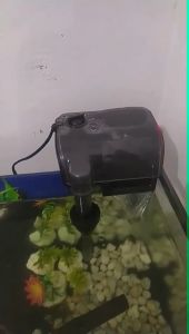 Filter Gantung Skimmer Hanging Hang On Pilter Amara AA503 AA 503 Untuk Aquarium Aquascape Ikan Hias