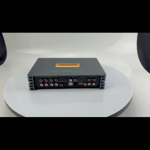 ROAD WING RW-P12 31EQ 12CH DSP Amplifier High-Level 12 IN 12 OUT 12×60W Max Bluetooth 5.0 Auto Impedance Optical Coaxial USB For Proton Perodua Ready Stock
