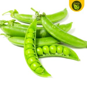 binhi pantanim 40 - 60 seeds for planting green peas vegetable plant