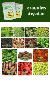 ชาสมุนไพรบำรุงปอด Healthy Lung ตราไร่กฤติยา - ด้วยคุณประโยชน์ของสมุนไพร 14 ชนิด