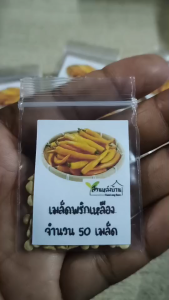 50 เมล็ด พริกเหลือง เมล็ดพริกเหลือง พริก เมล็ดพริก