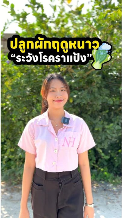 วัคซีนพืช ซุปเปอร์ไบโอฟิต รักษาโรคพืช รากเน่า ใบเหลือง