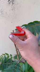 2pcs Vegetable Picking Tool/Pisau Petik Untuk Sayuran Buah-Buahan Guillotine Kecil Untuk Pisau Jepit Kebun Pisau Jempol Petik Sayuran