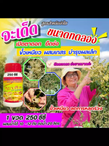 จะเด็ด 250 ซีซี สำหรับลำไย ฉีดพ่นทางใบ เปิดตาดอก ยืดช่อ ผสมเกสร ขั้วเหนียว บำรุงผลเล็ก ลดการใช้ปุ๋ยเคมีทางดิน/Early Bird